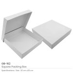 Square-Packaging-Box-GB-162.jpg