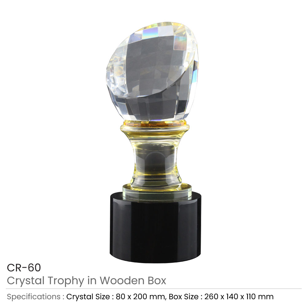 Crystal-Trophy-in-Wooden-Box-CR-60-Details.jpg